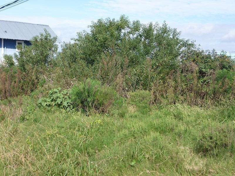 Terrenos en venta en Altos de Punta Piedras 