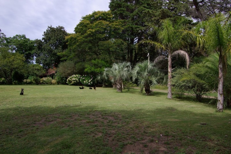 Venta chacra zona golf Punta del Este