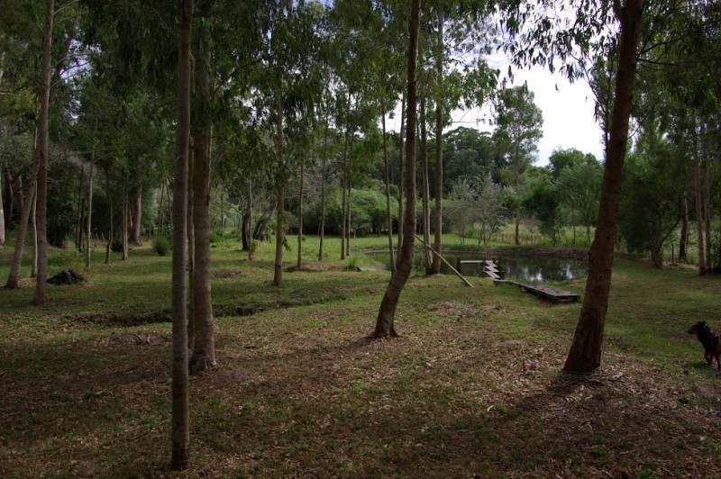 Venta chacra zona golf Punta del Este