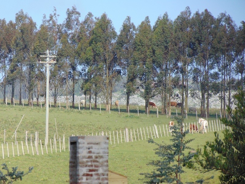 Oportunidad!, chacra 5000 m2 en El Quijote