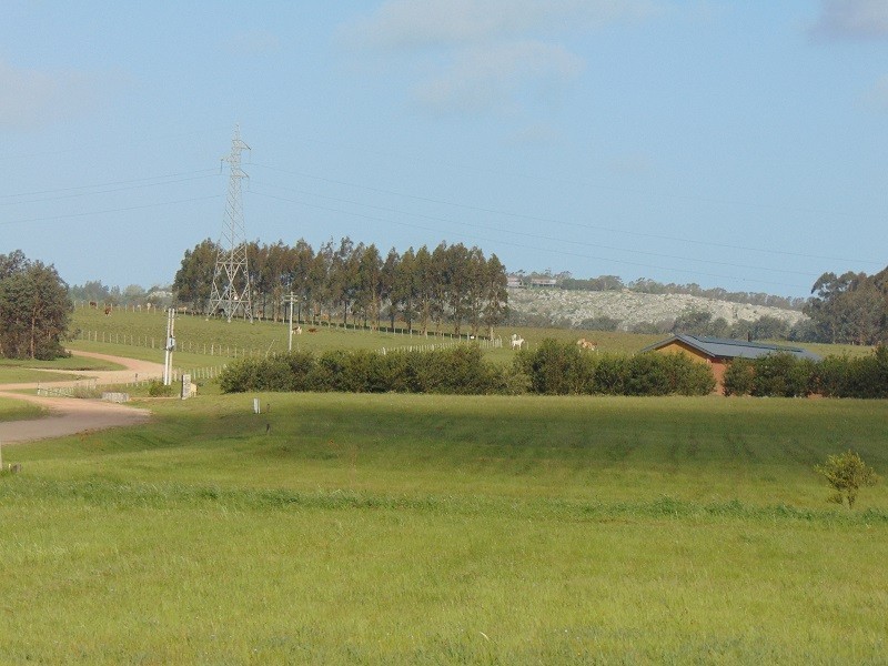 Oportunidad!, chacra 5000 m2 en El Quijote