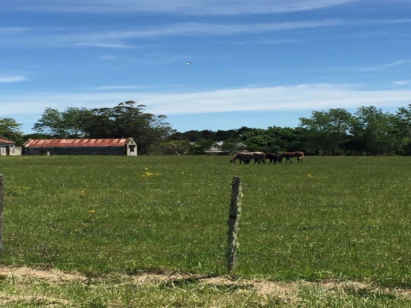 Chacra en venta en zona La Barra.