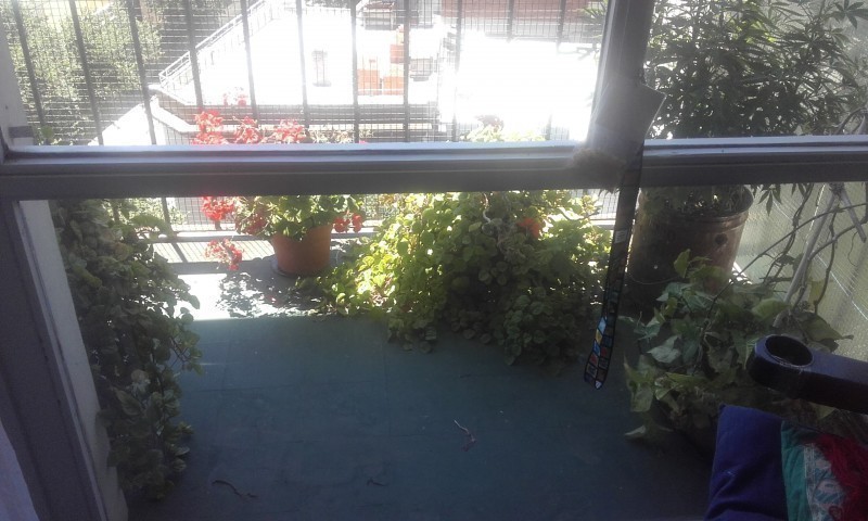 Oportunidad apartamento 3 dorm Punta Carretas con Garage