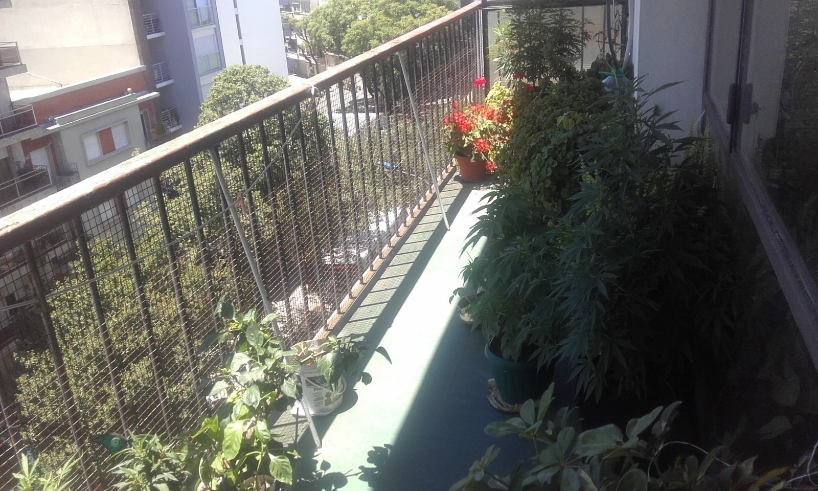 Oportunidad apartamento 3 dorm Punta Carretas con Garage