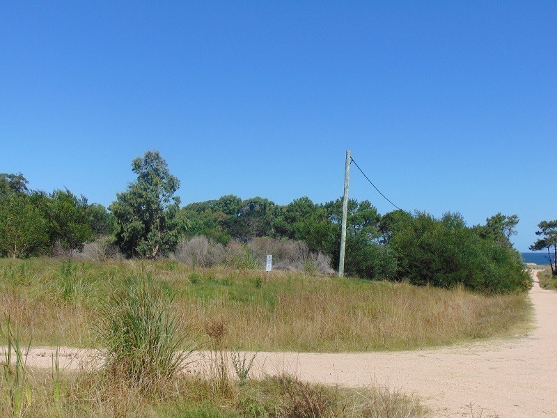 900 m2  ubicados a una cuadra del mar.