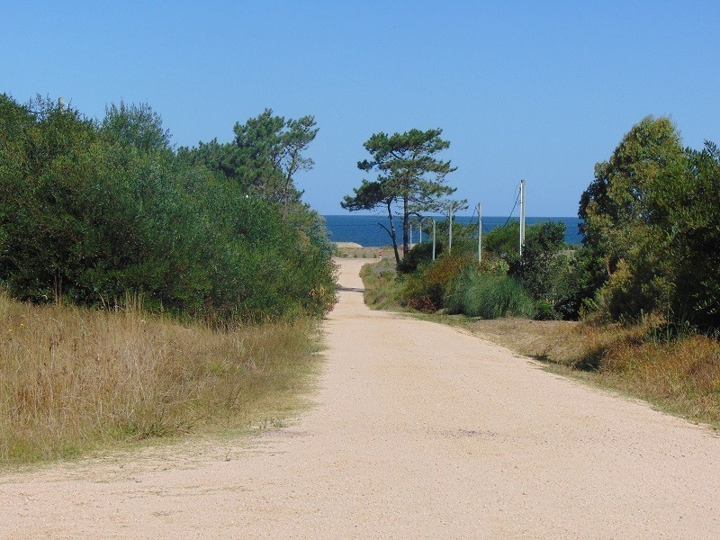 900 m2  ubicados a una cuadra del mar.