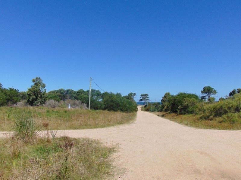 900 m2  ubicados a una cuadra del mar.