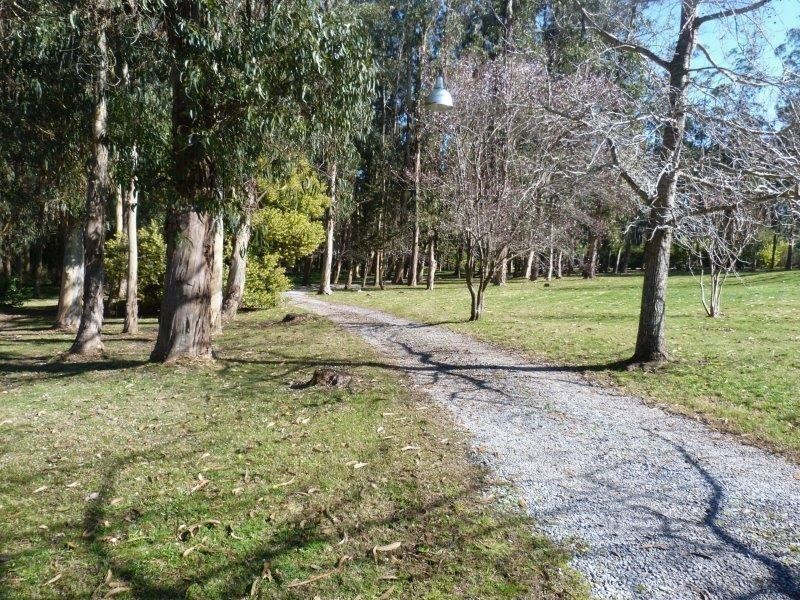 Chacra en alquiler a 5 minutos de La Barra