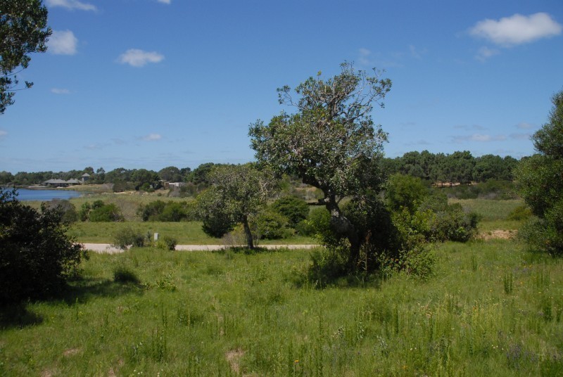 Terreno en Laguna Escondida, barrio privado en Jose ignacio