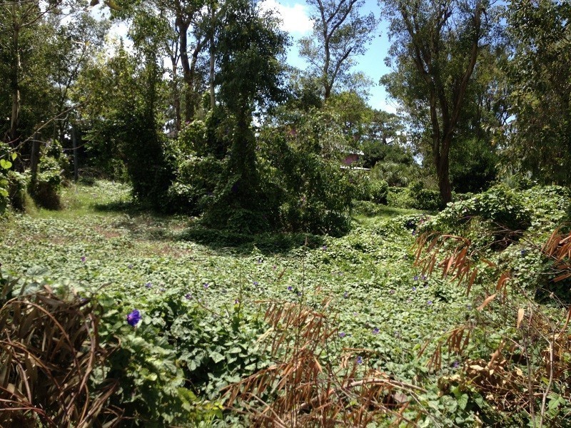 Terreno en venta a metros del mar.