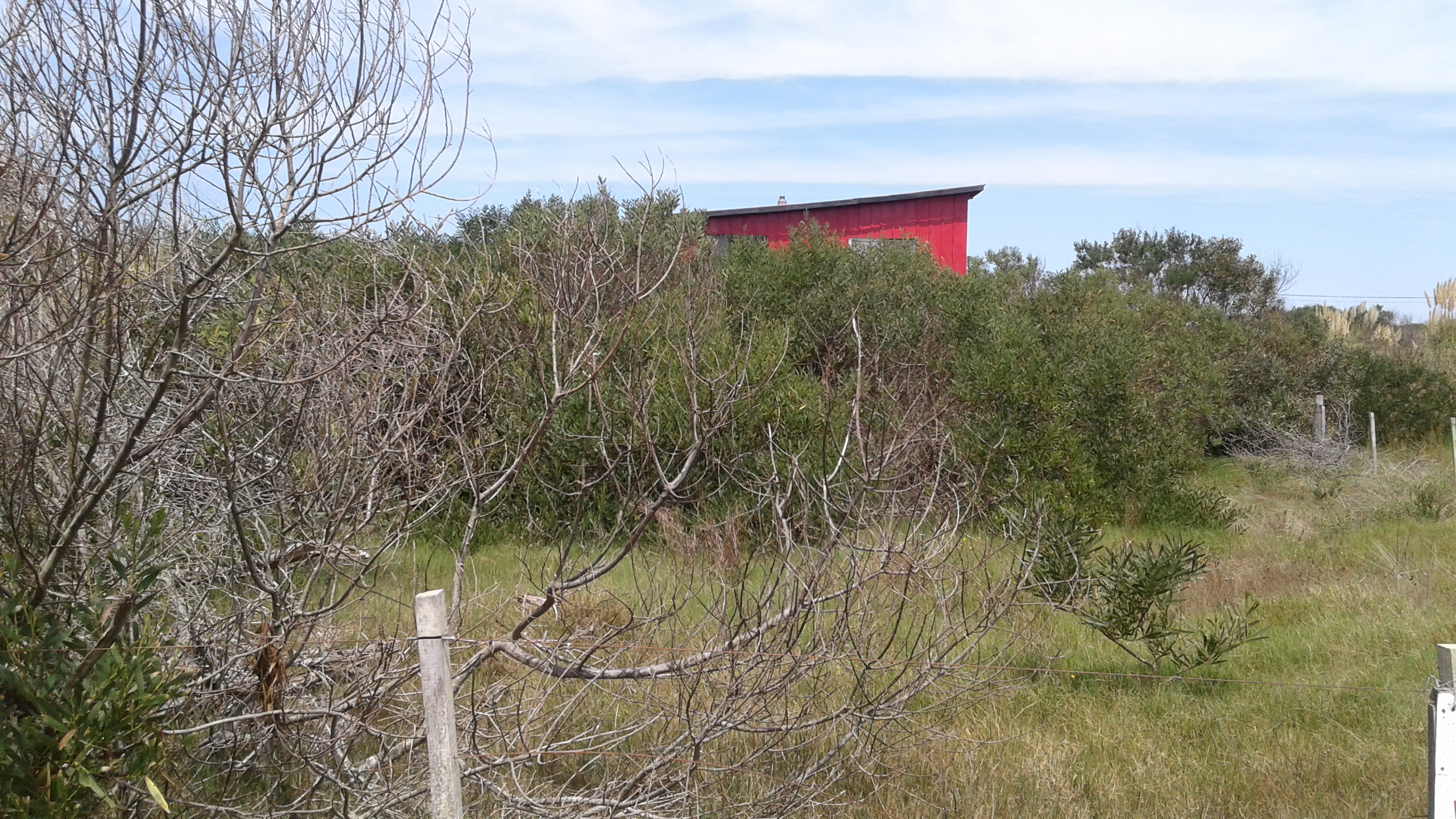 Terreno en La Juanita cerca de la Laguna Jose Ignacio