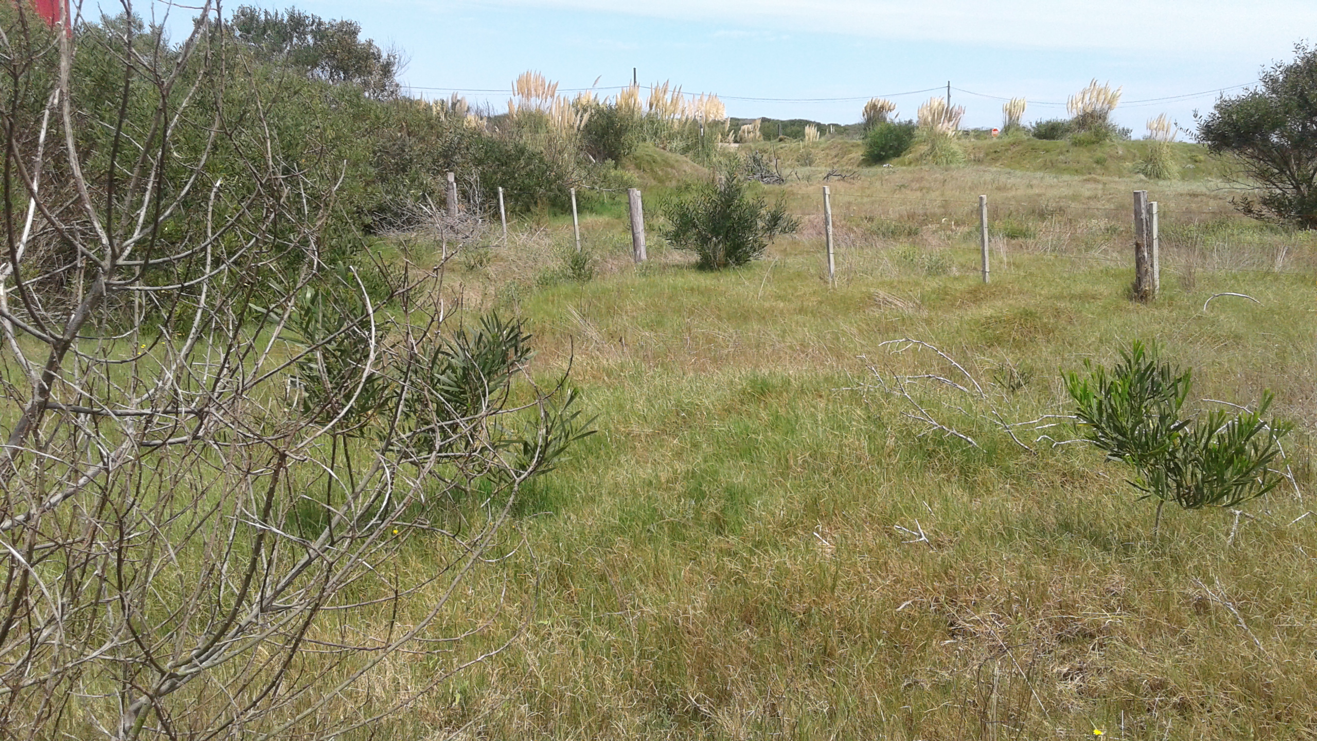 Terreno en La Juanita cerca de la Laguna Jose Ignacio