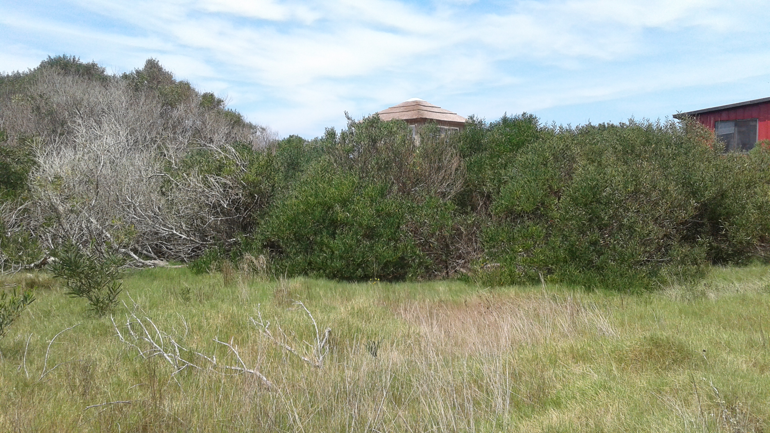Terreno en La Juanita cerca de la Laguna Jose Ignacio