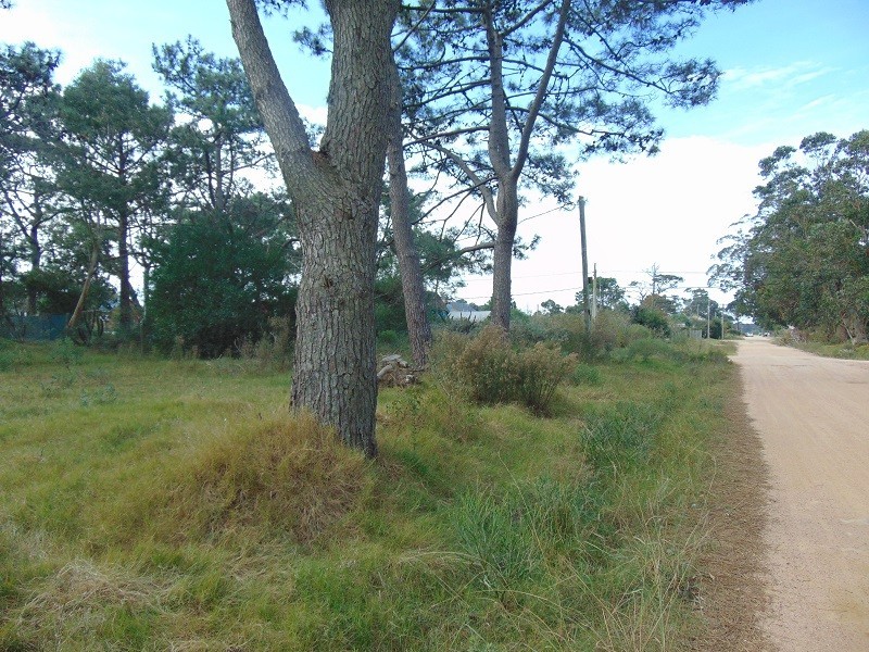 Terreno esquinero, Balneario Buenos Aires