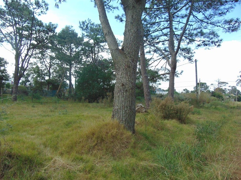 Terreno esquinero, Balneario Buenos Aires