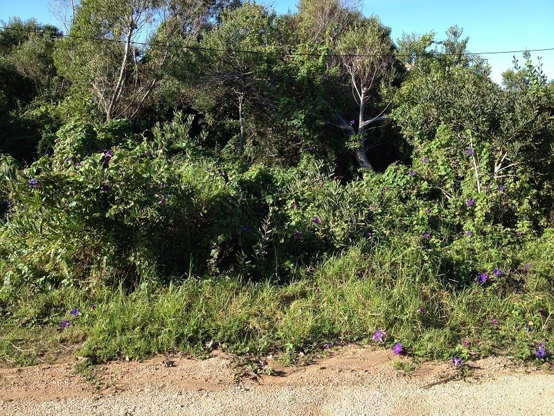 Oportunidad en Altos de Punta Piedras 