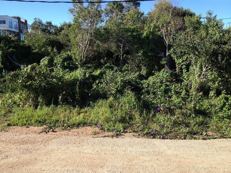 Oportunidad en Altos de Punta Piedras 