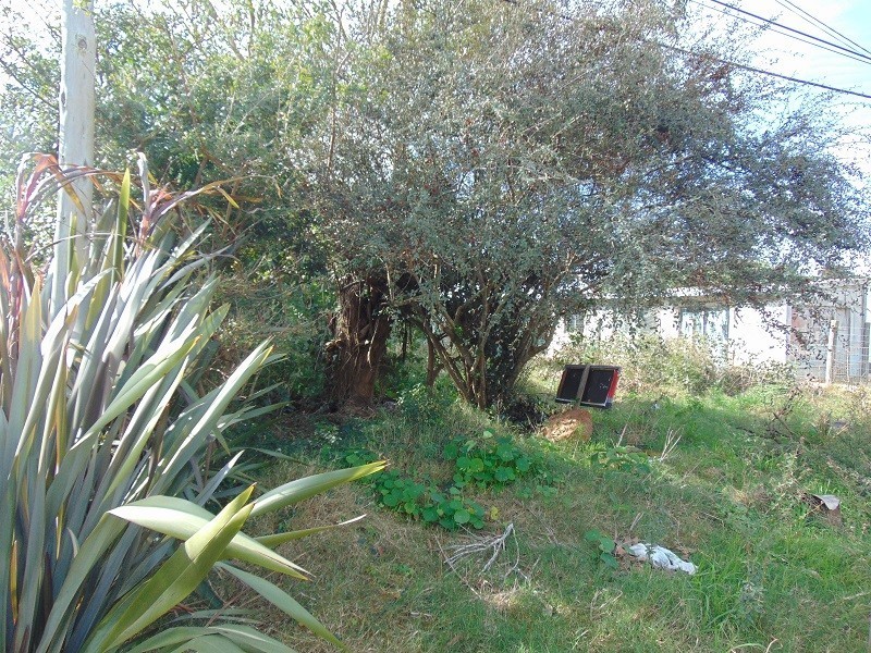 Terreno en venta Balneario Buenos Aires 