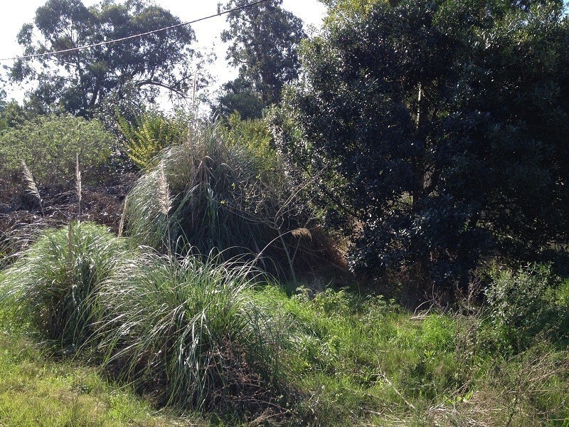 Terreno en venta Balneario Buenos Aires