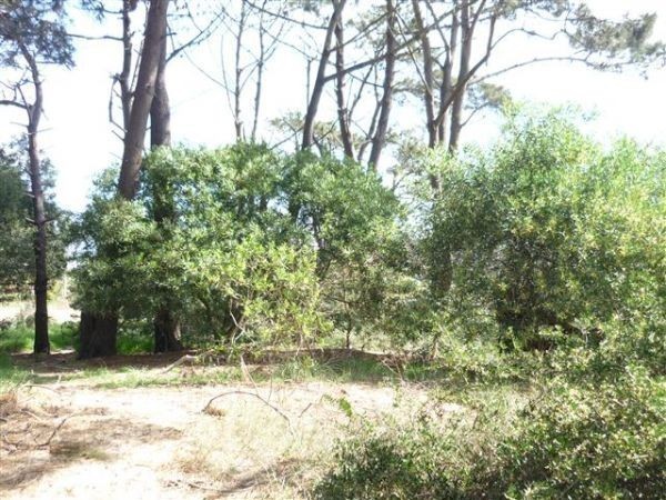 Lote de 400 M2 en Manantiales.