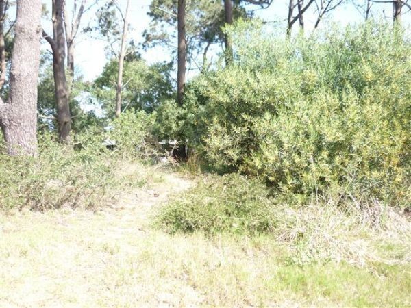 Lote de 400 M2 en Manantiales.