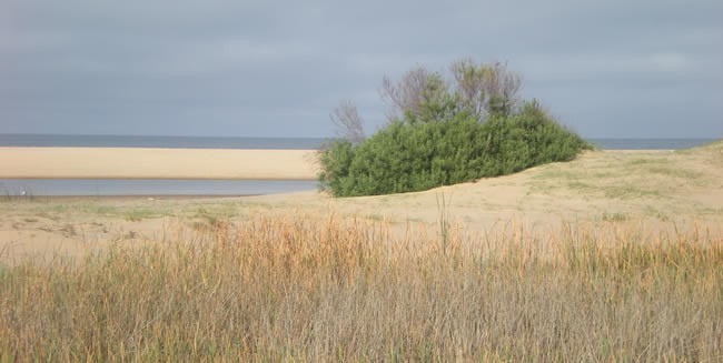 terreno en excelente ubicación al mar