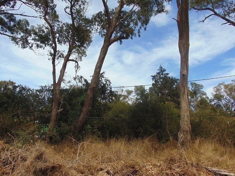 Terreno en venta Balneario Buenos Aires