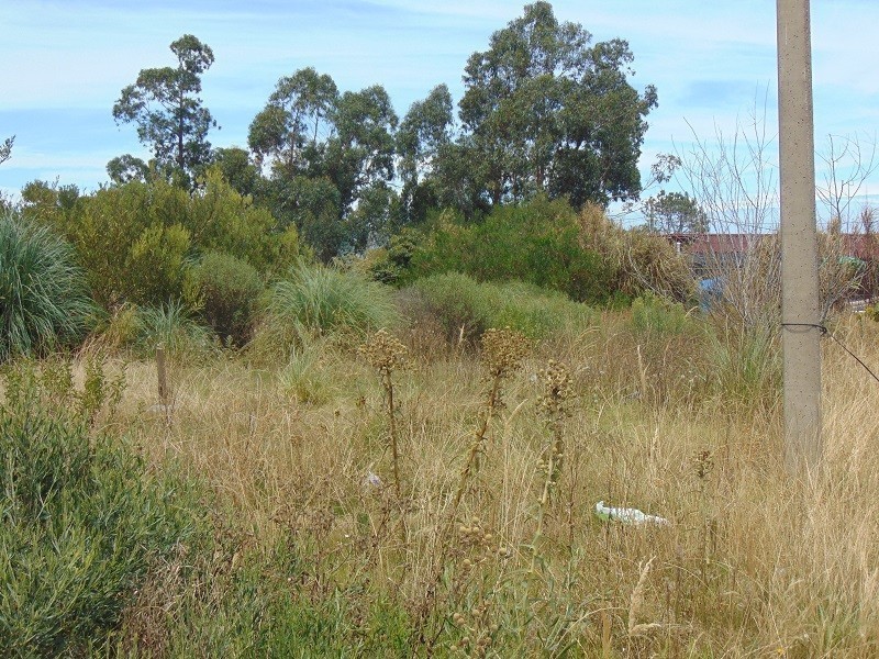 Terreno en venta Balneario Buenos Aires 