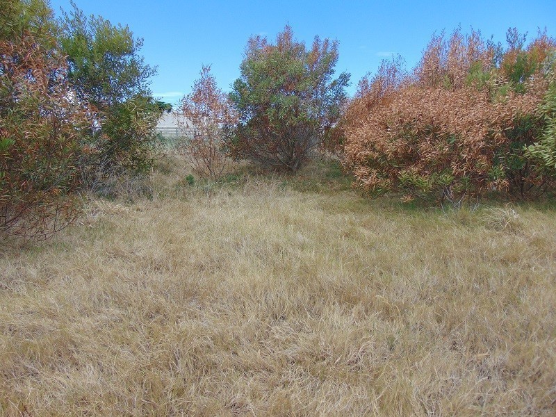 Terreno en venta Balneario Buenos Aires