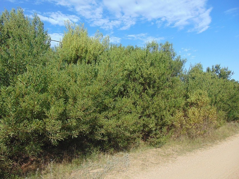 Terrenos en venta Balneario Buenos Aires