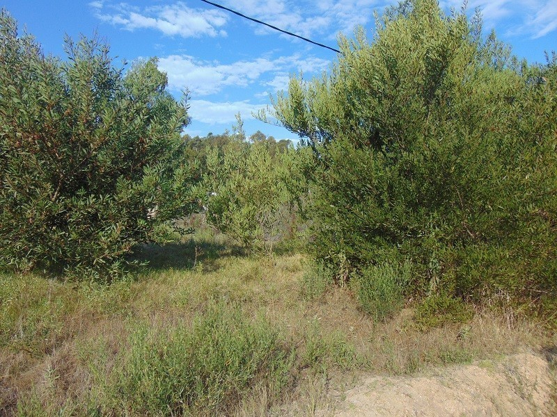 Terrenos en venta Balneario Buenos Aires