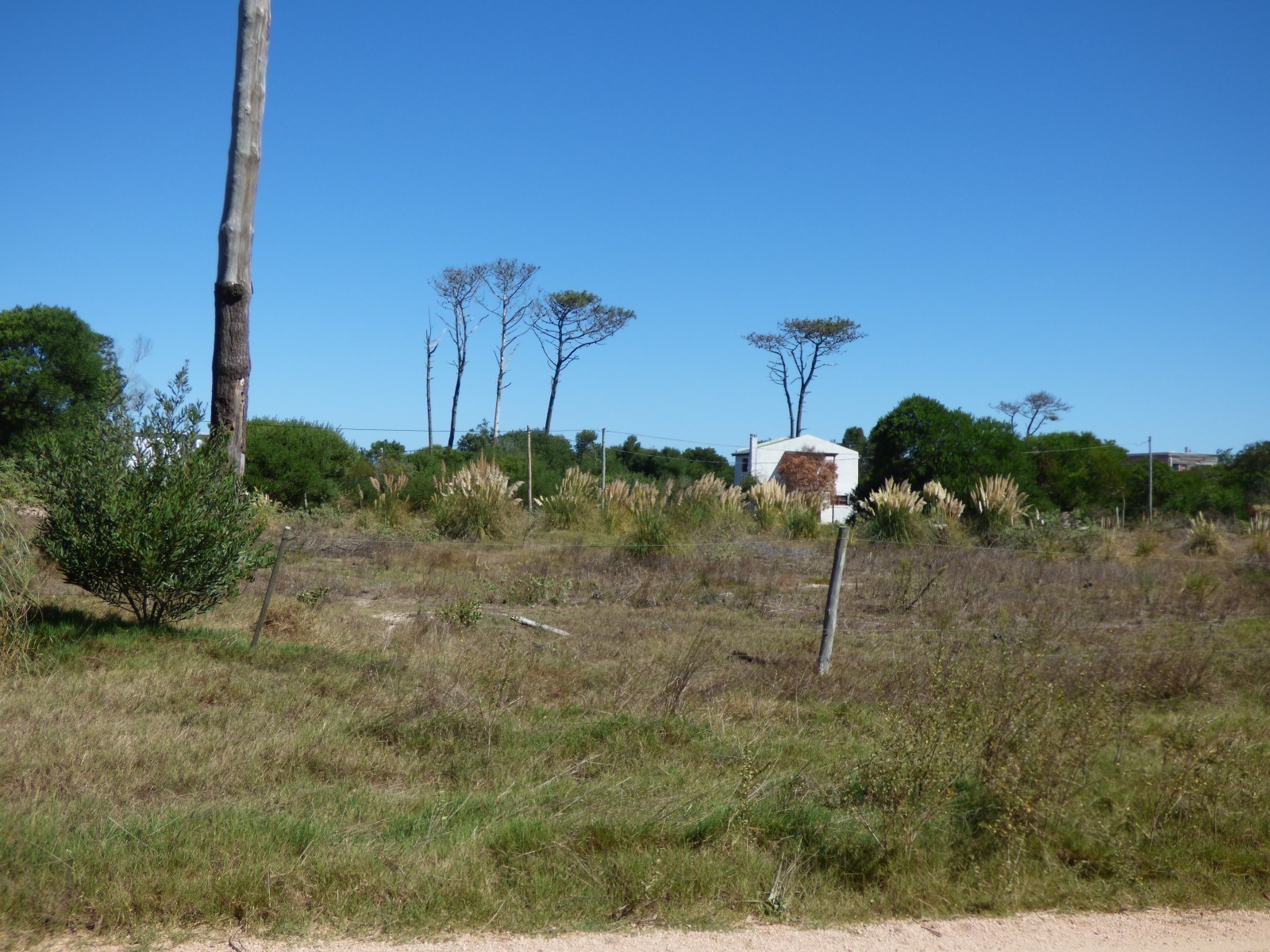 Excelente Terreno en La Juanita