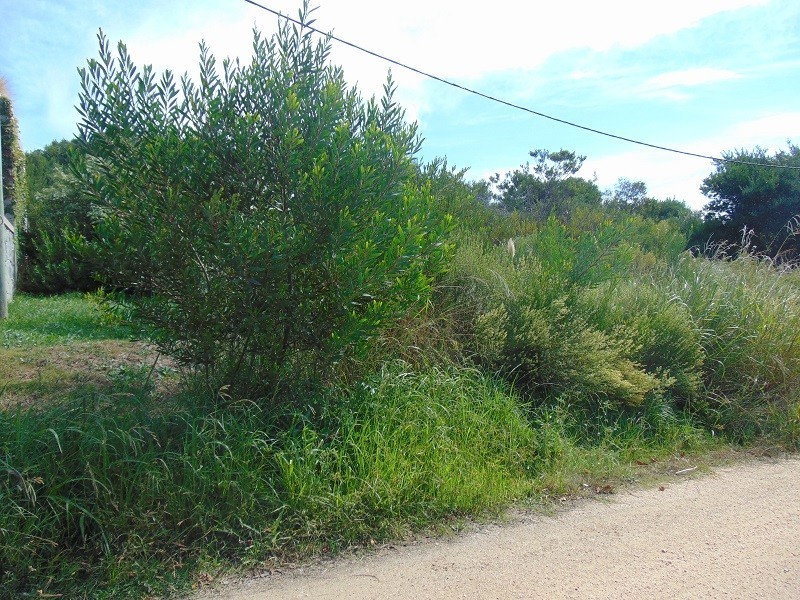 Terreno en venta Balneario Buenos Aires