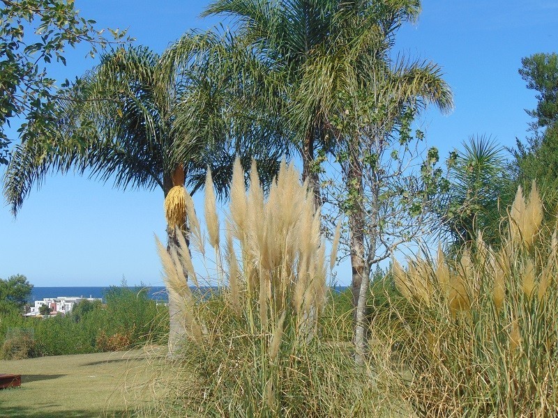 Terreno en venta Balneario Buenos Aires