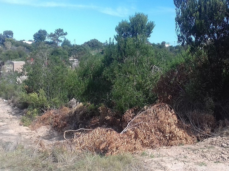 Terreno en venta Balneario Buenos Aires 