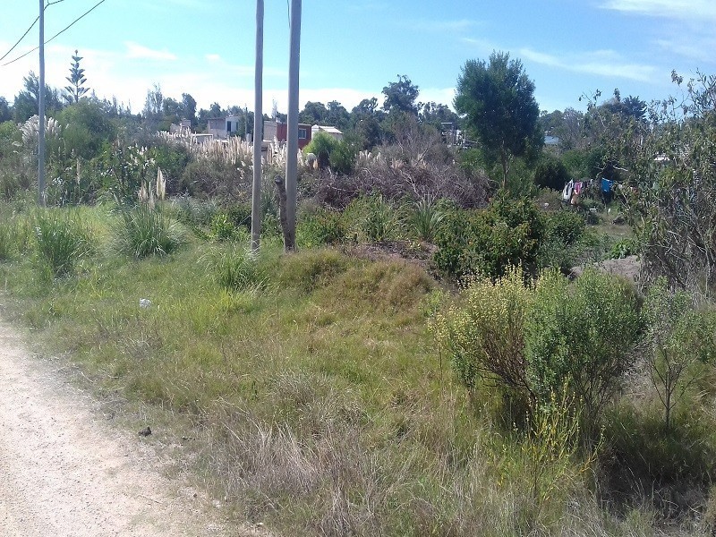 Se venden dos terrenos 