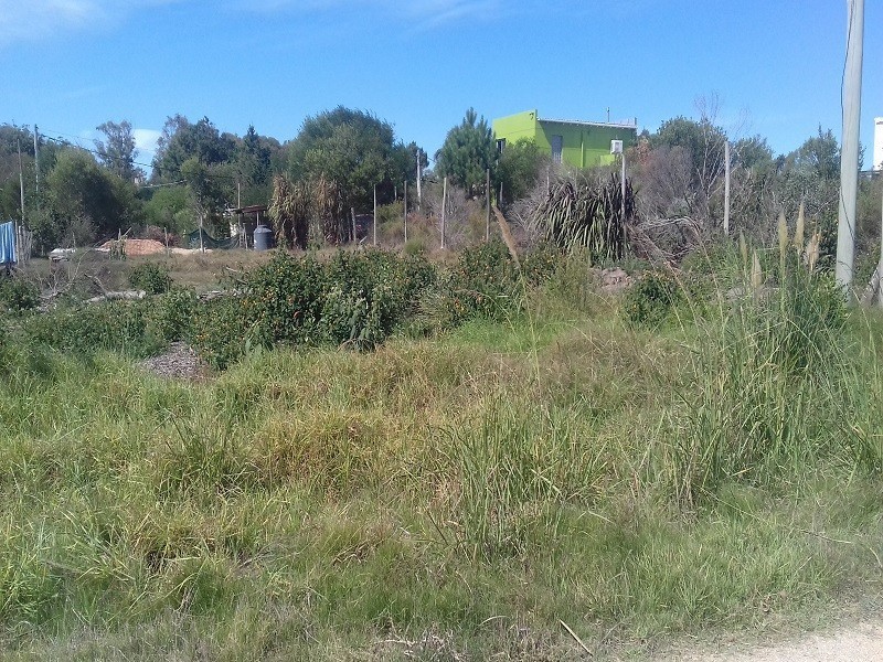 Se venden dos terrenos 