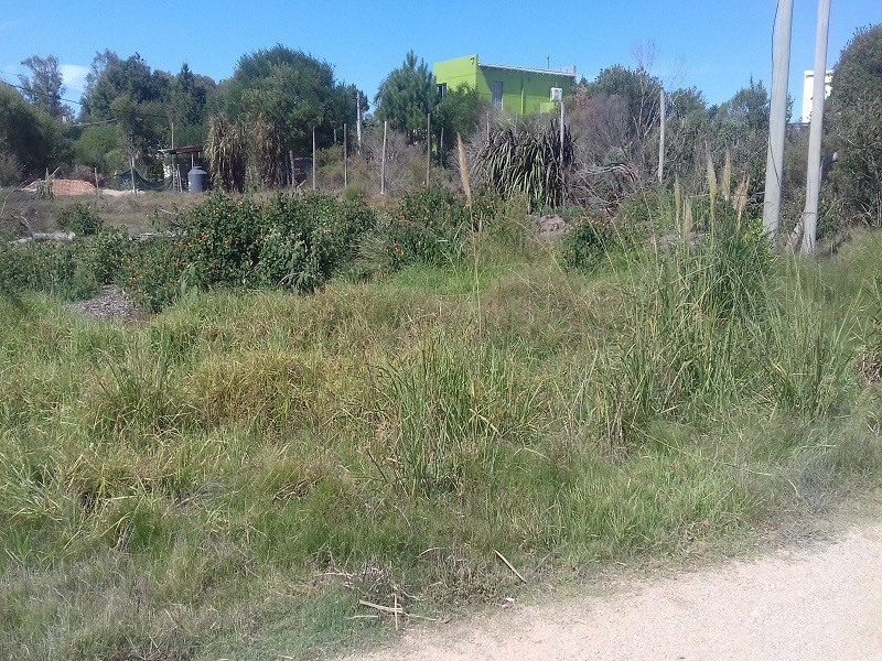 Se venden dos terrenos 