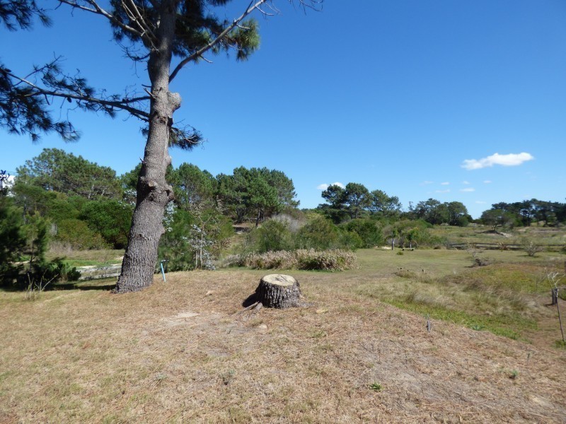 Terreno en venta en Arenas de Jose Ignacio