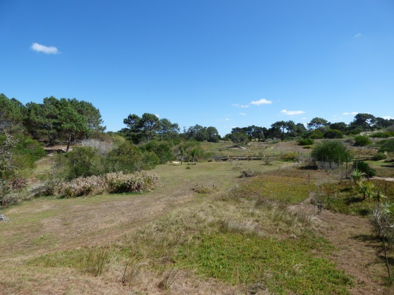 Terreno en venta en Arenas de Jose Ignacio