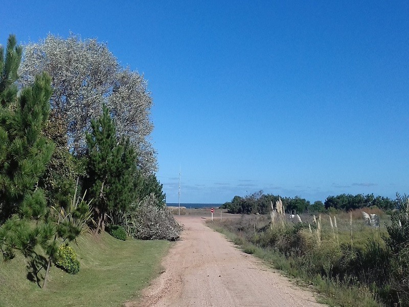 Se venden dos terrenos con vista al mar 