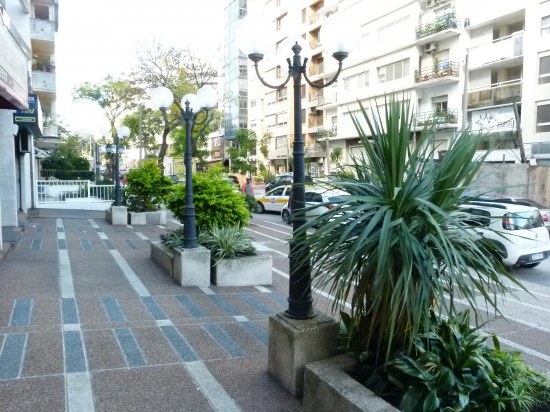 Excelente Local Comercial en Echevarríarza 3255.