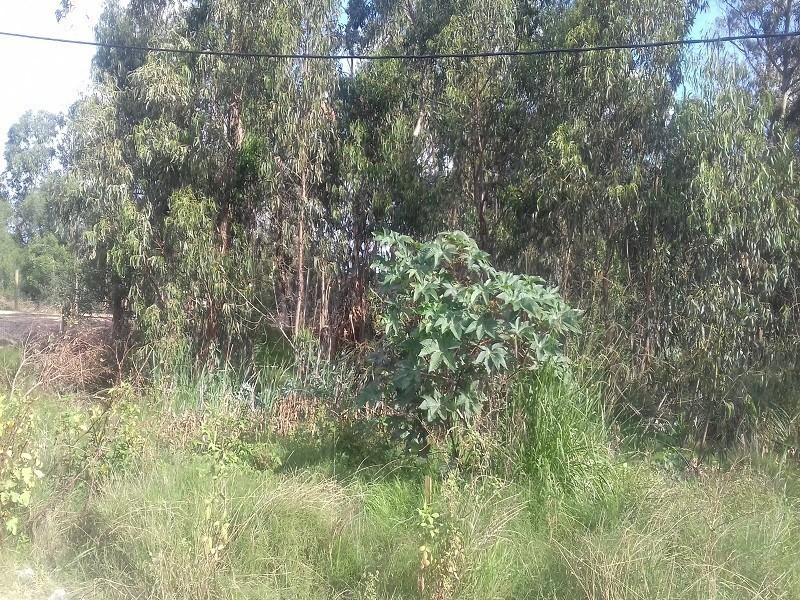 Terrenos en venta Balneario Buenos Aires 