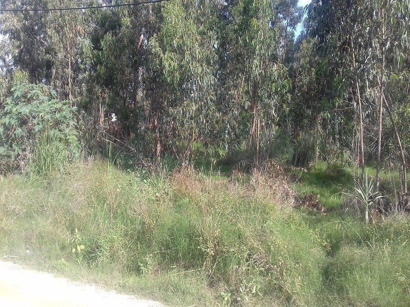 Terrenos en venta Balneario Buenos Aires 