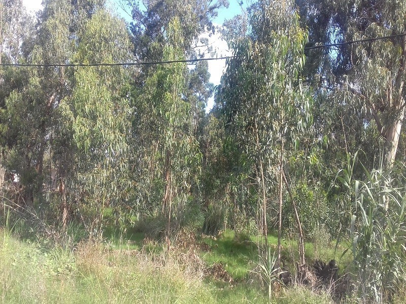 Terrenos en venta Balneario Buenos Aires 