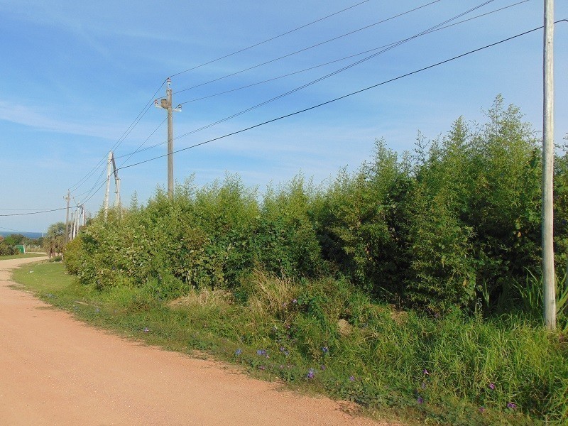 Terreno en venta en El chorro