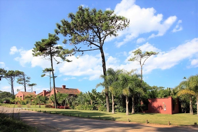 Espectacular residencia en La Barra a pasos del mar
