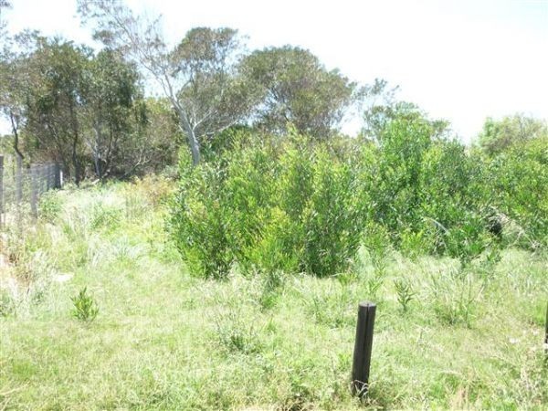 Terreno en venta en Altos de Punta Piedras.