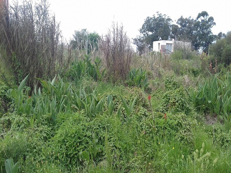 OPORTUNIDAD !! Terreno Balneario Buenos Aires 