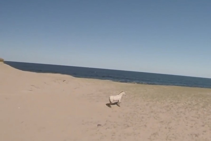 Chacra Marítima primera línea de mar